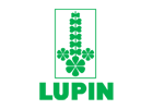 lupin
